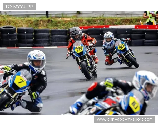 赛道背后：车队运营与策略的幕后揭秘，车队赛是什么意思