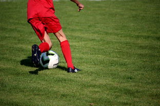 mk体育-篮球运动员心理健康维护体系研究,篮球运动员心理健康维护体系研究论文