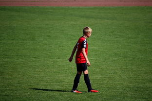 mk体育平台网页版入口-中国足球职业俱乐部球员转会市场活跃度提升，中国足球协会球员身份与转会管理规定