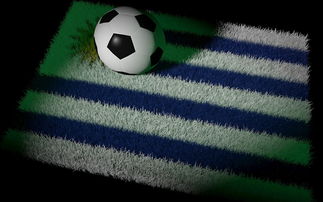 mk体育下载-中国足球国家队备战东亚杯积极备战,中国队东亚杯名单