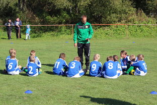 mk体育平台登录入口-国足替补球员出场策略，国足替补球员出场策略分析